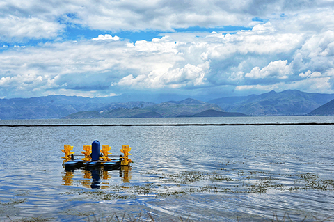 Lago de paisaje ecológico