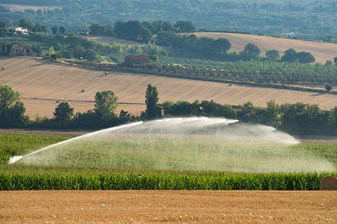 Riego de tierras agrícolas